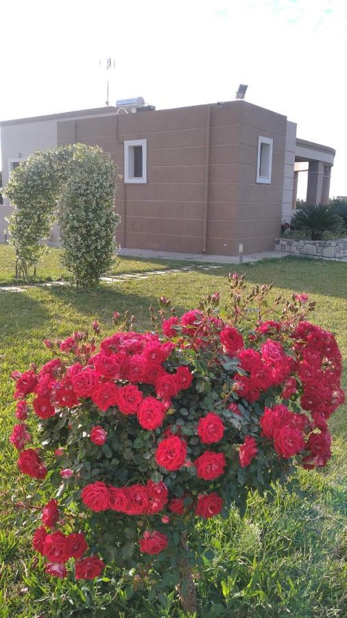 Kos Villa - Family Comfort With Large Garden, Jacuzzi Eksteriør billede